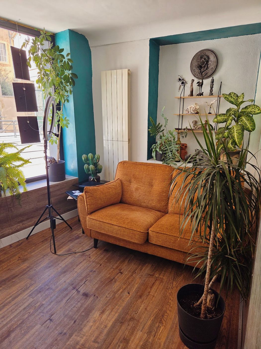 La r&eacute;ception du studio : mur teal, canap&eacute; chenille ambre, plantes et &eacute;tag&egrave;re de curiosit&eacute;s